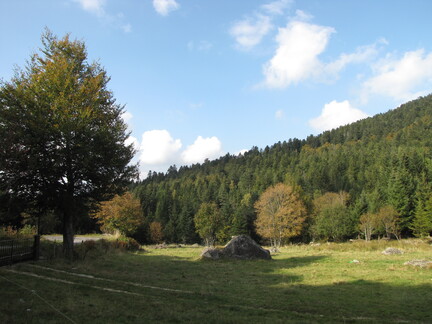 20080926 160838